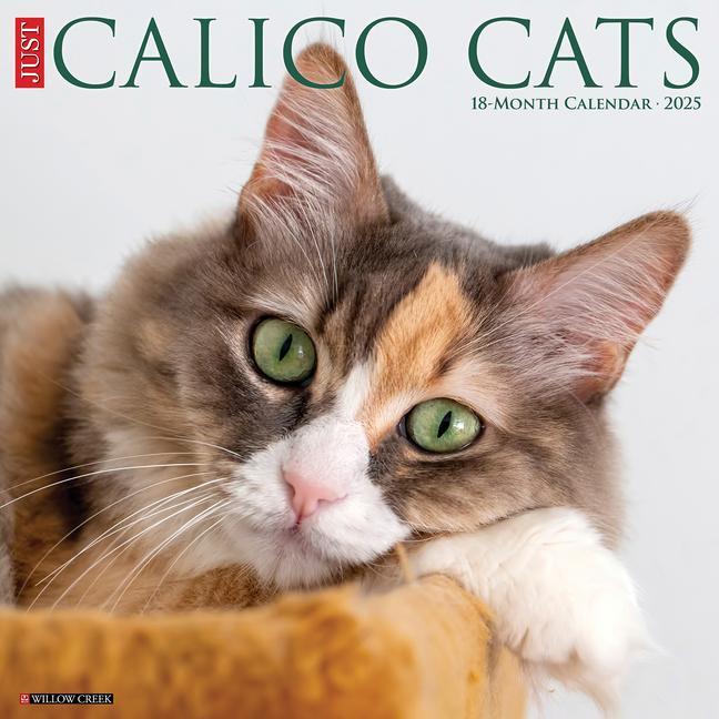 Cover: 9781549242090 | Just Calico Cats 2025 12 X 12 Wall Calendar | Willow Creek Press