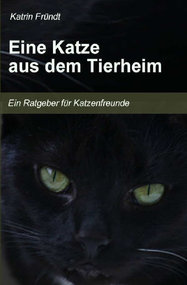 Cover: 9783745069433 | Eine Katze aus dem Tierheim | Katrin Fründt | Taschenbuch | 88 S.