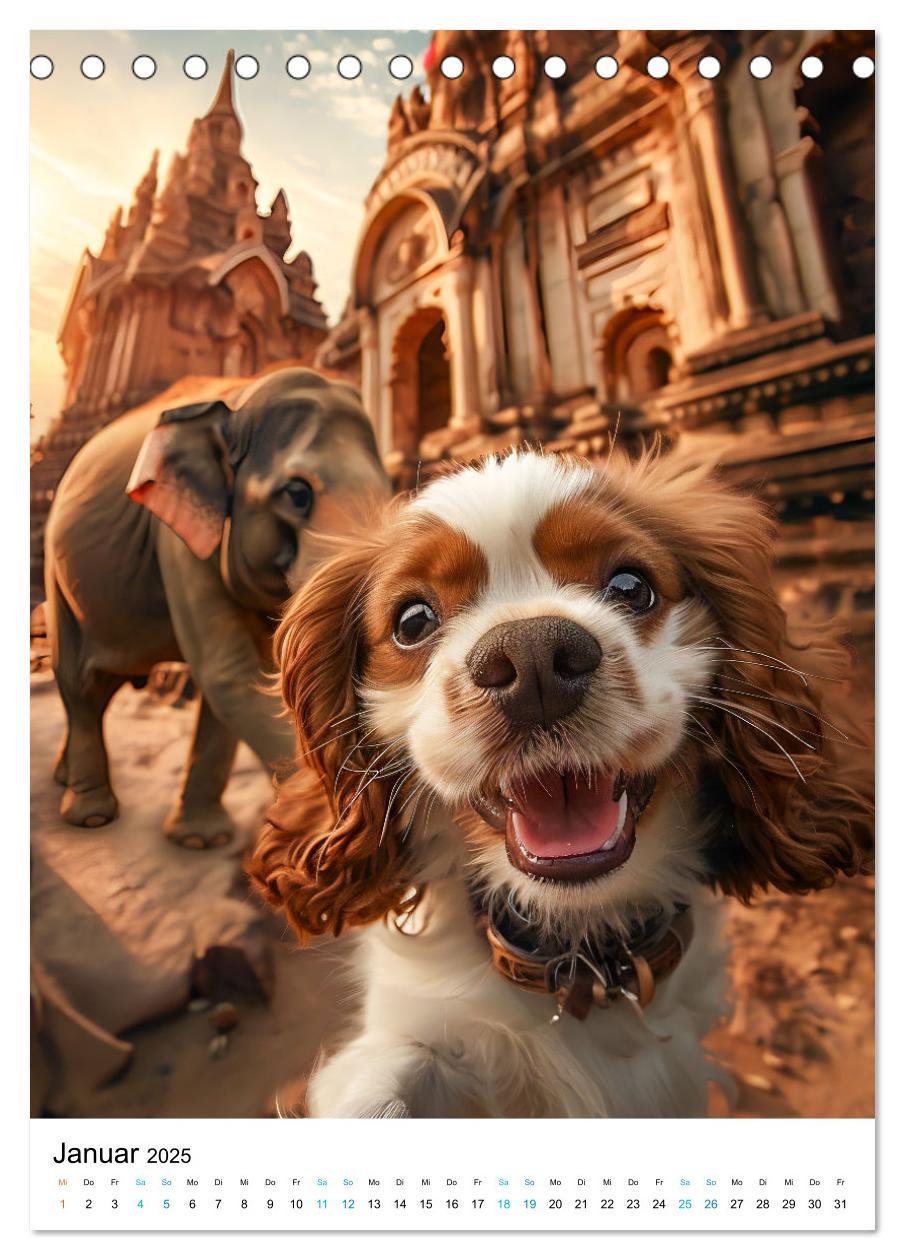 Bild: 9783383763489 | Cavalier King Charles Spaniel - Lustige Weltenreise im Selfie-Modus...