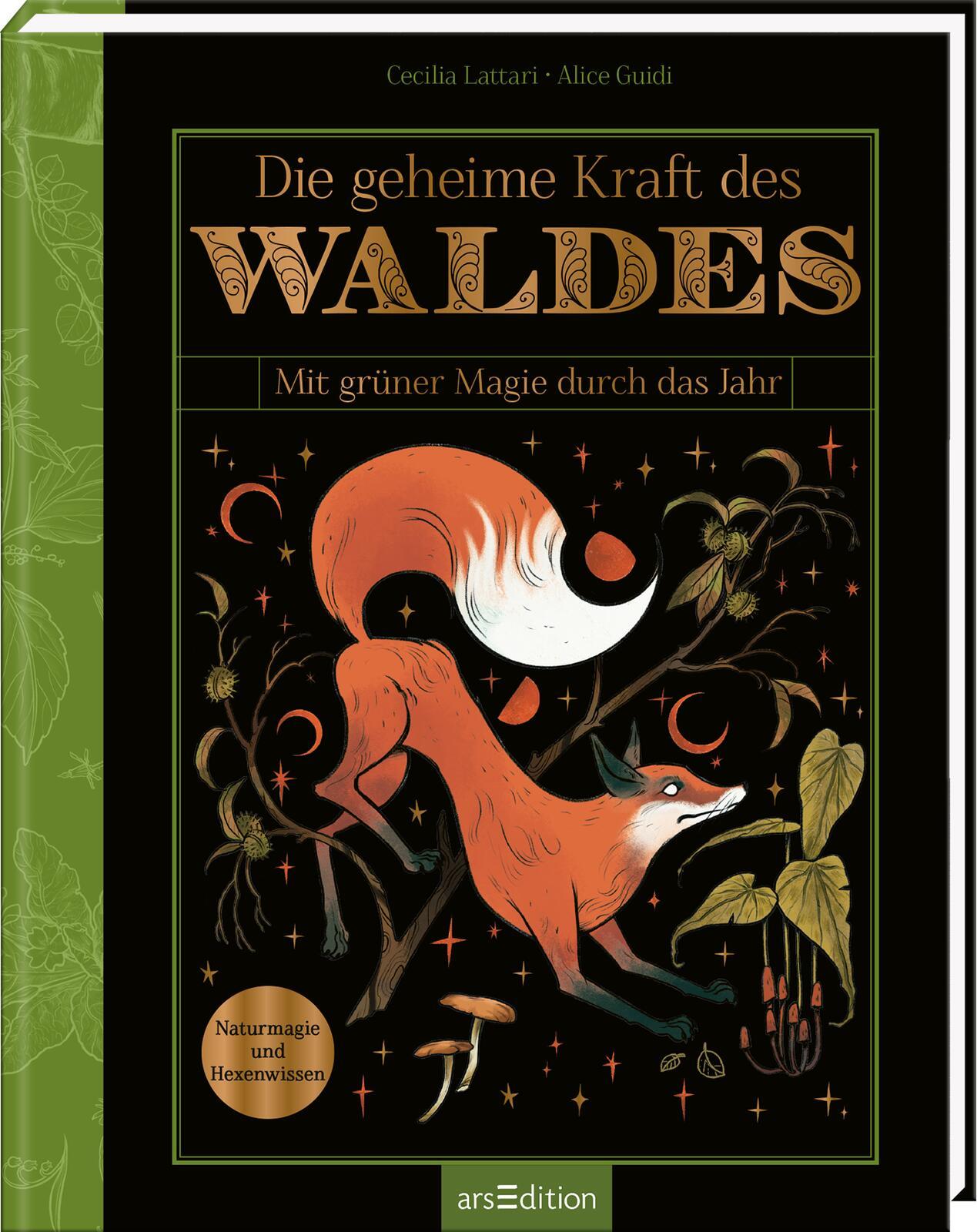 Cover: 9783845849379 | Die geheime Kraft des Waldes | Mit grüner Magie durch das Jahr | Buch