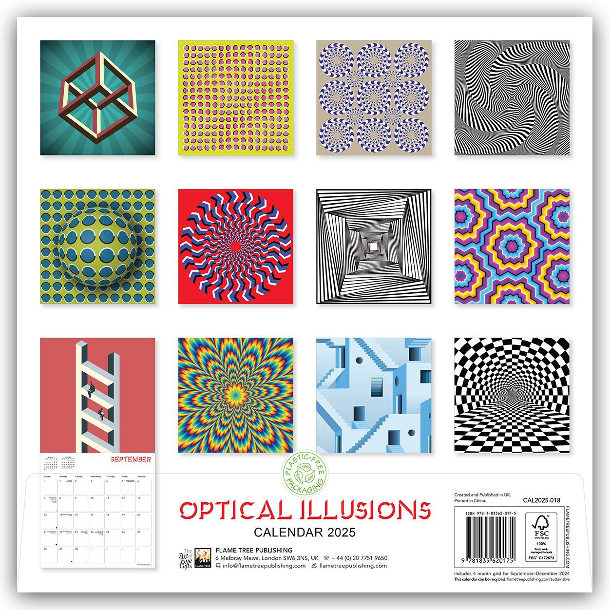 Rückseite: 9781835620175 | Optical Illusions - Optische Illusionen 2025 | Tree Flame | Kalender