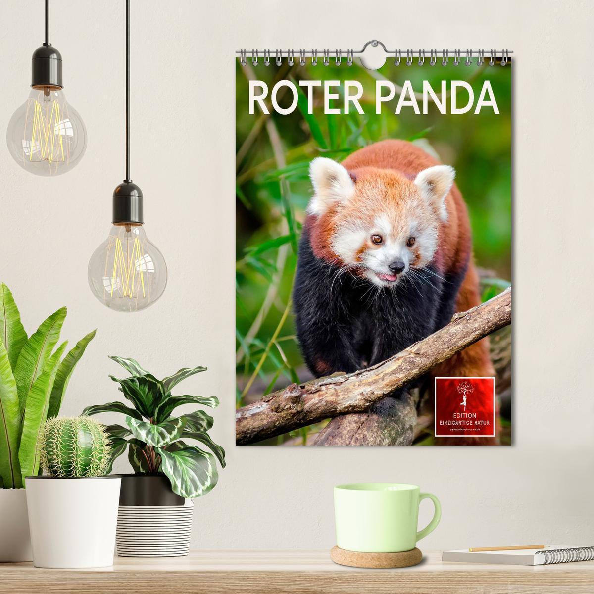 Bild: 9783435987849 | Roter Panda (Wandkalender 2025 DIN A4 hoch), CALVENDO Monatskalender