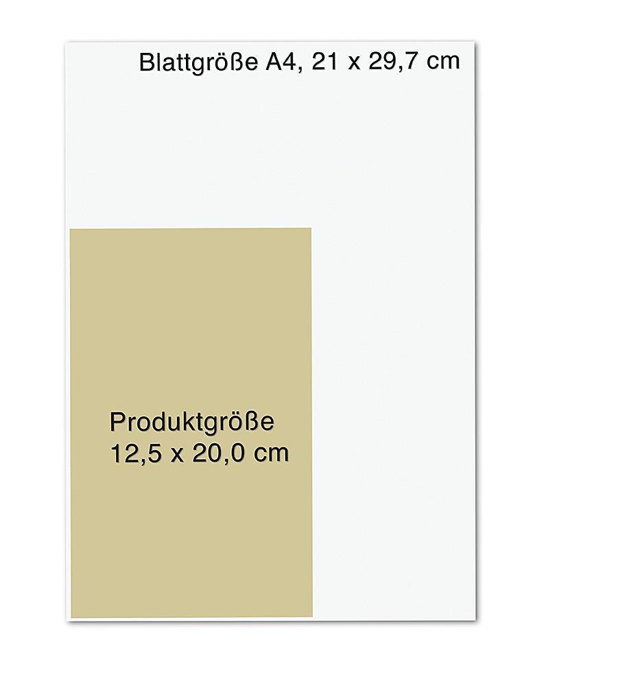 Bild: 9783426659069 | Das Immunbooster-Handbuch | Thomas Rampp | Buch | 288 S. | Deutsch