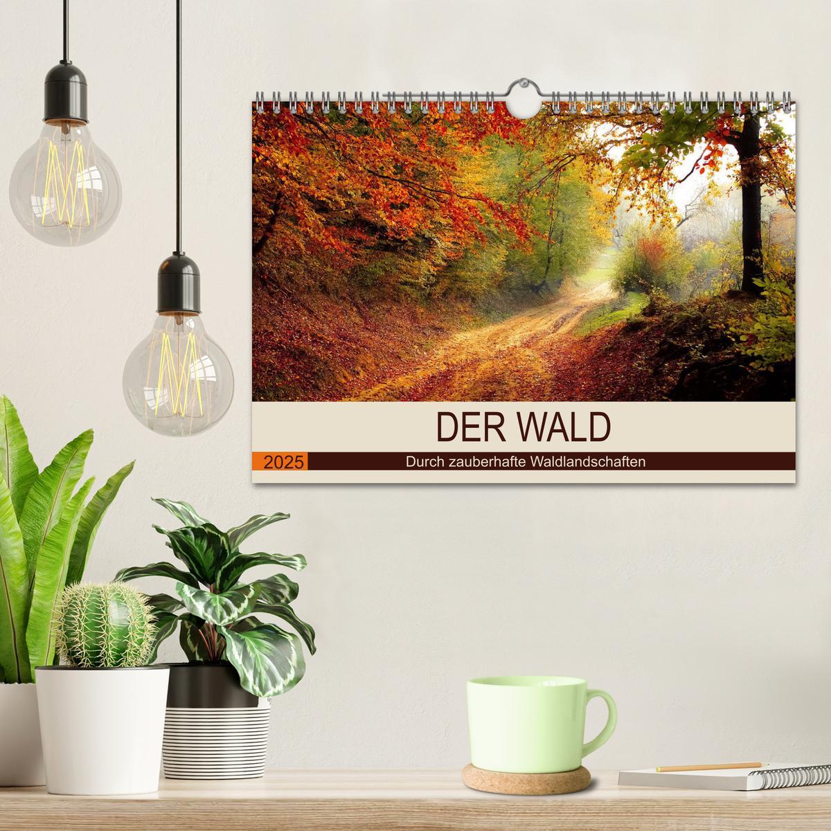 Bild: 9783435318612 | Der Wald. Durch zauberhafte Waldlandschaften (Wandkalender 2025 DIN...