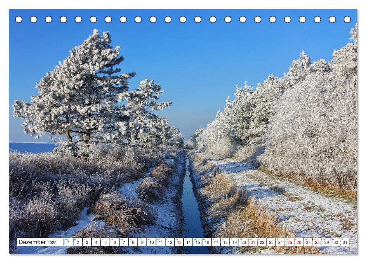 Bild: 9783435448968 | ST. PETER ORDING Strand und Meer (Tischkalender 2025 DIN A5 quer),...