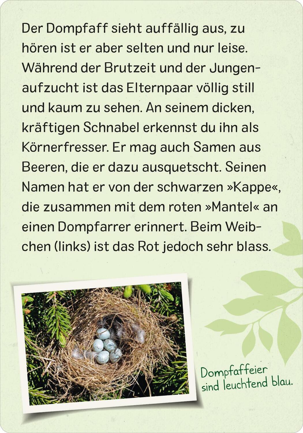 Bild: 9783845856599 | Naturforscher-Kids - Vögel | 50 Karten | Eva Wagner | Taschenbuch