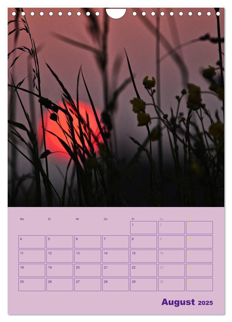 Bild: 9783457055540 | Wald- und Wiesenkalender 2025 Planer (Wandkalender 2025 DIN A4...