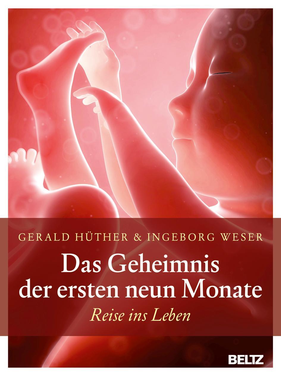 Cover: 9783407857590 | Das Geheimnis der ersten neun Monate | Reise ins Leben | Buch | 2017