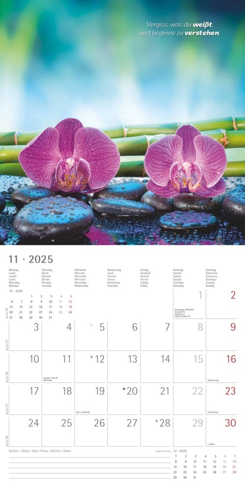 Bild: 4251732340858 | Alpha Edition - Zen 2025 Broschürenkalender, 30x30cm, Wandkalender...