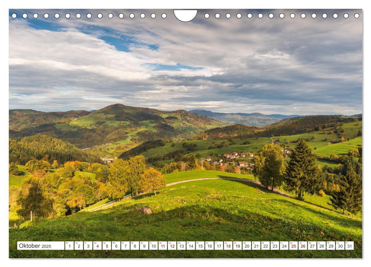 Bild: 9783435687831 | Schwarzwald (Wandkalender 2025 DIN A4 quer), CALVENDO Monatskalender