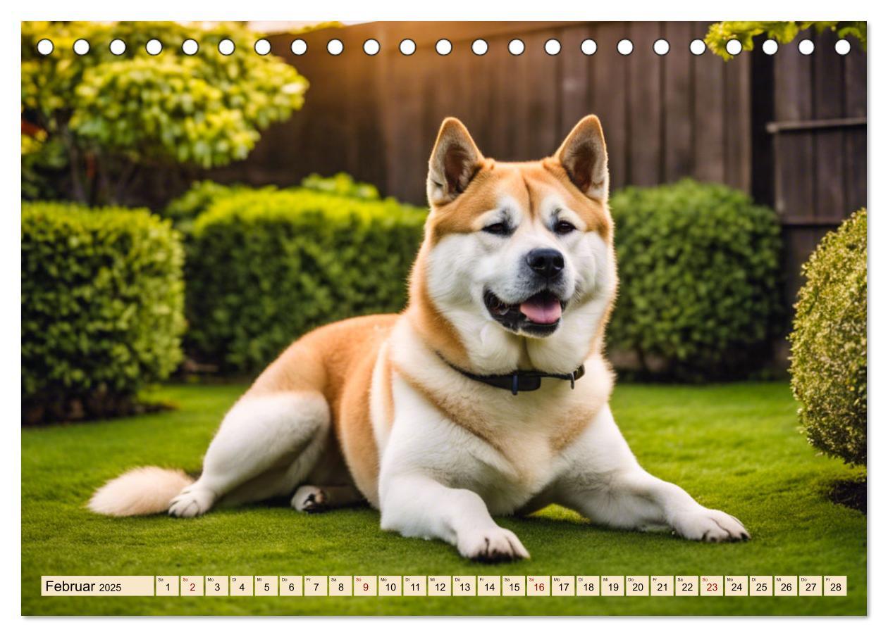 Bild: 9783457071731 | Akita Inu - Inbegriff der Treue (Tischkalender 2025 DIN A5 quer),...