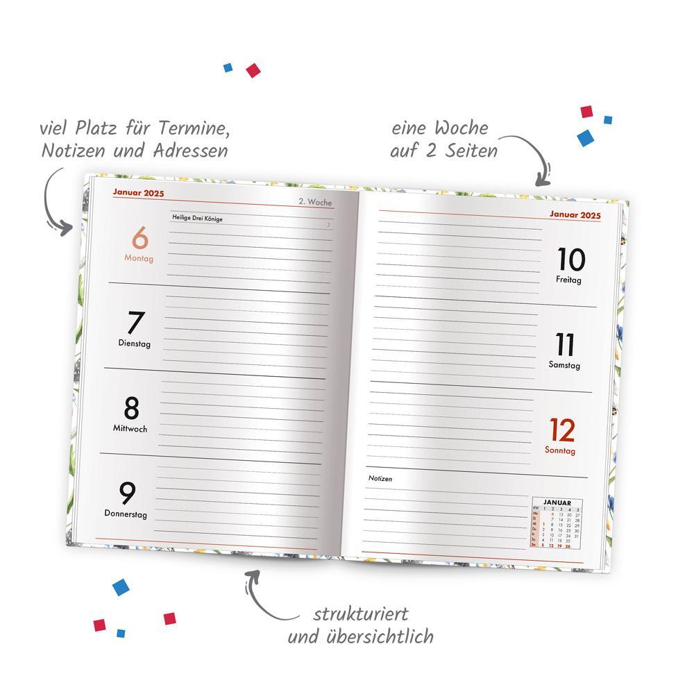 Bild: 4251901507006 | Trötsch Taschenkalender A6 Marienkäfer 2025 | Wochenkalender | KG