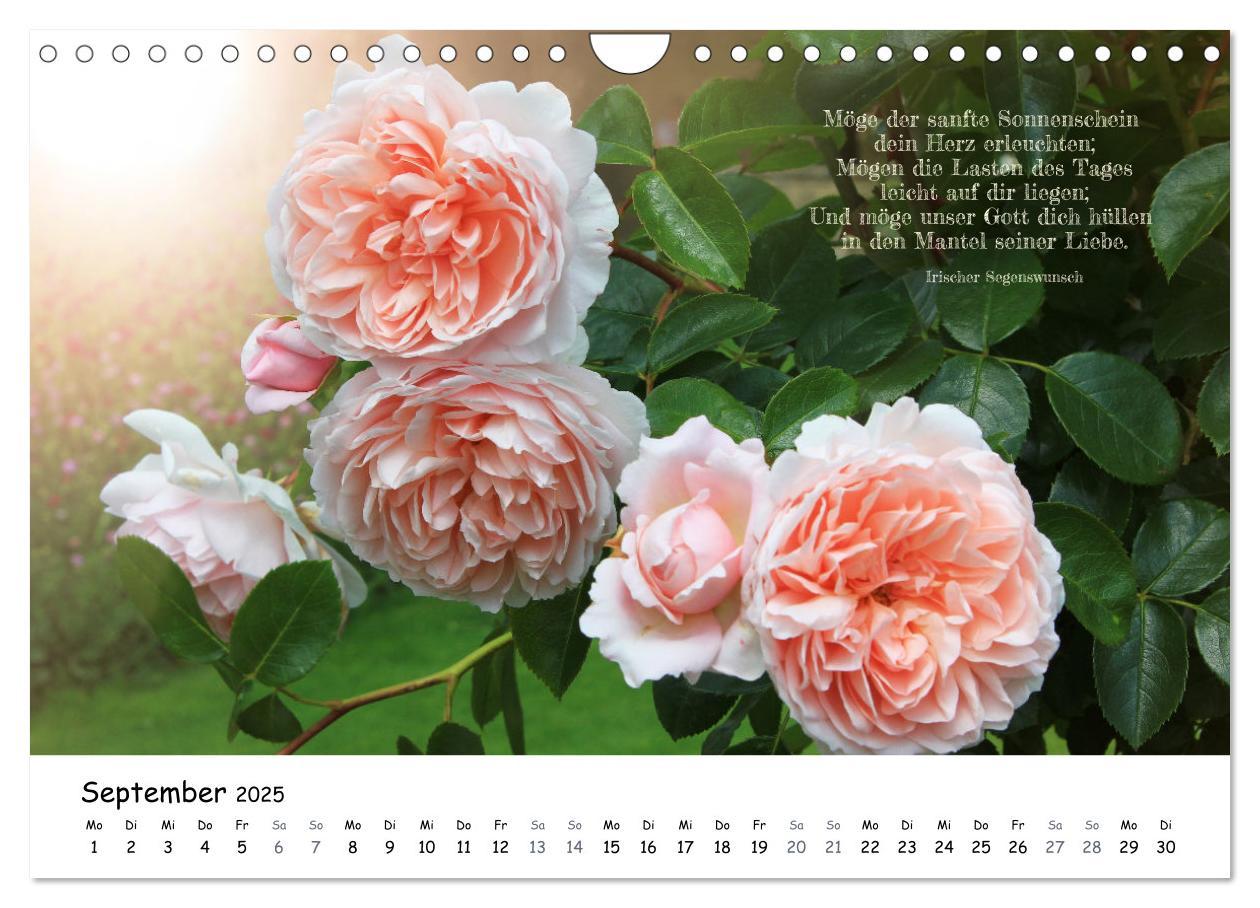 Bild: 9783383823725 | Christliche Bildpoesie (Wandkalender 2025 DIN A4 quer), CALVENDO...