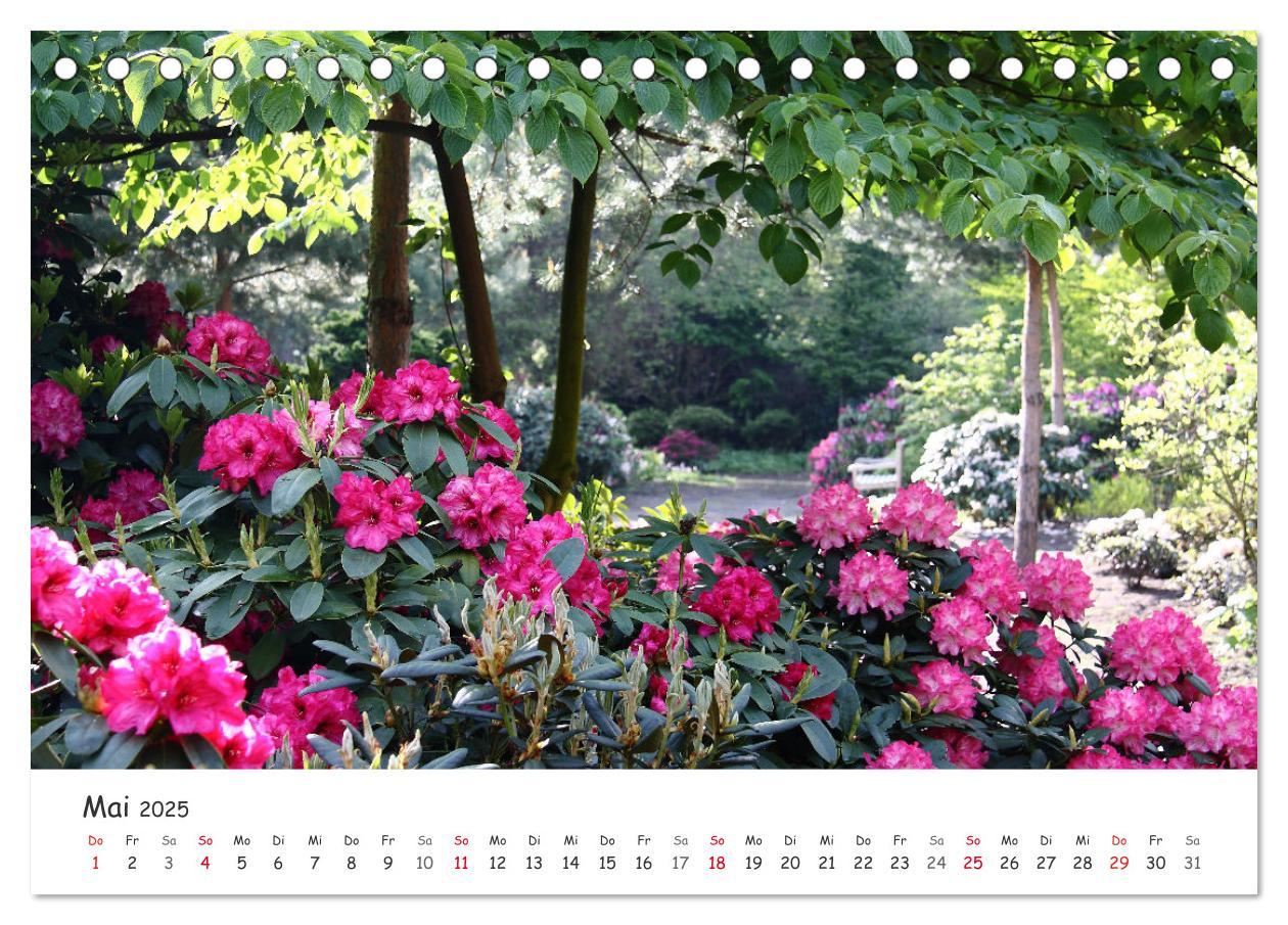 Bild: 9783435077489 | Zauberhaftes Ammerland (Tischkalender 2025 DIN A5 quer), CALVENDO...