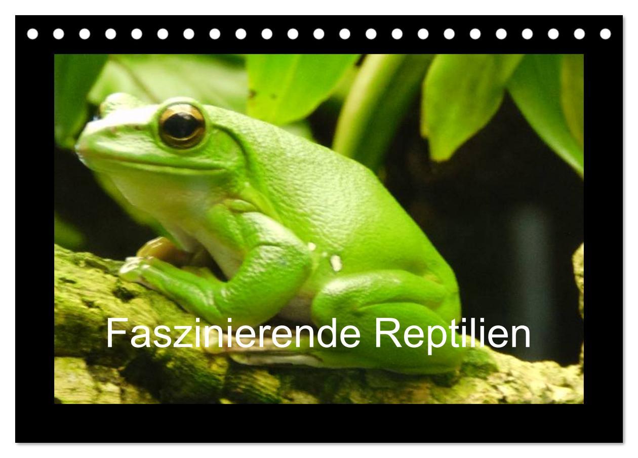 Cover: 9783435806256 | Faszinierende Reptilien (Tischkalender 2025 DIN A5 quer), CALVENDO...