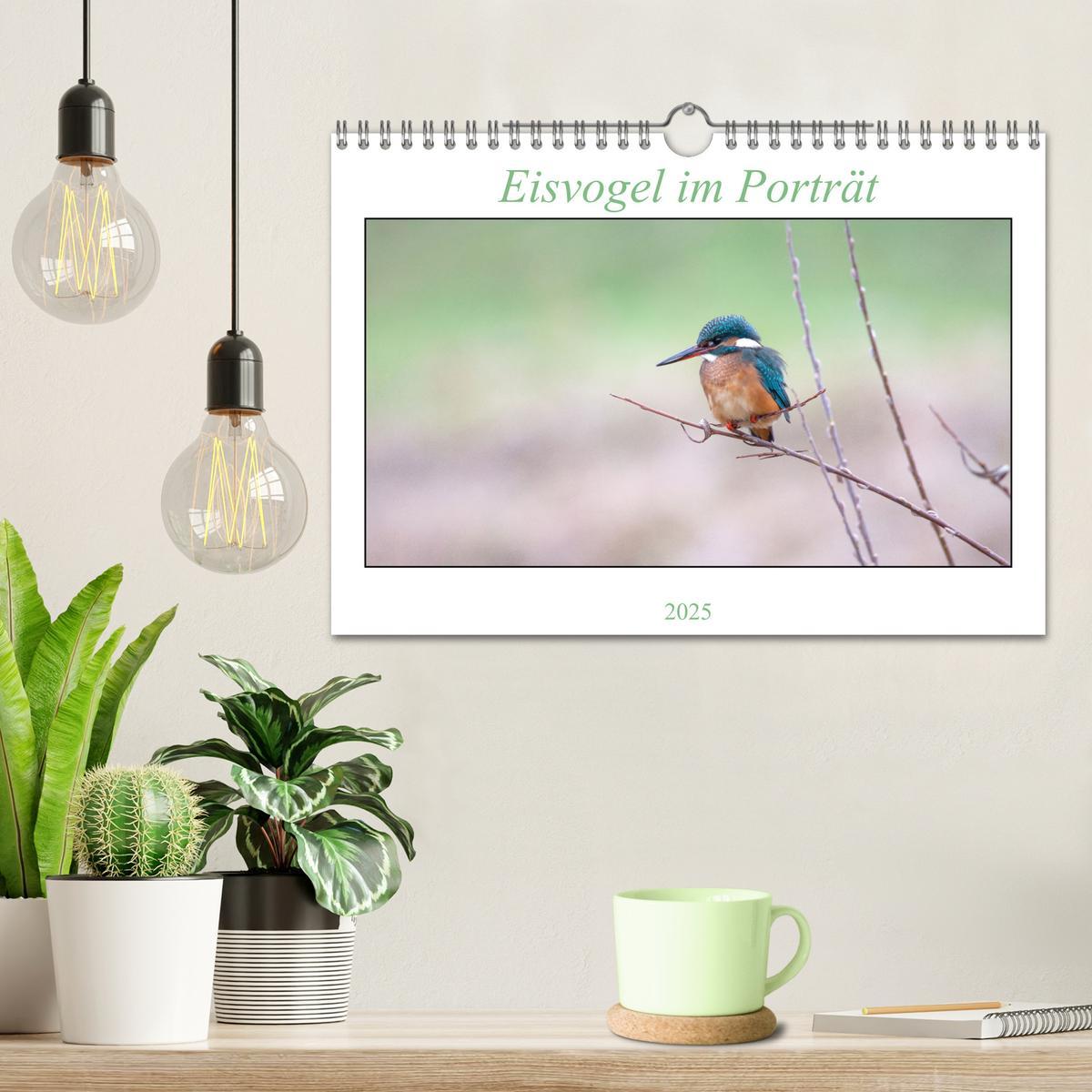 Bild: 9783435010301 | Eisvogel im Porträt (Wandkalender 2025 DIN A4 quer), CALVENDO...