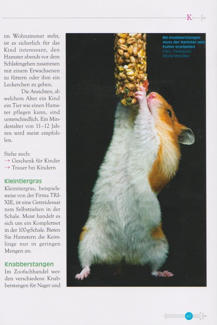 Bild: 9783866592179 | Das kleine Hamsterlexikon | Katja Hindrichs | Taschenbuch | 128 S.