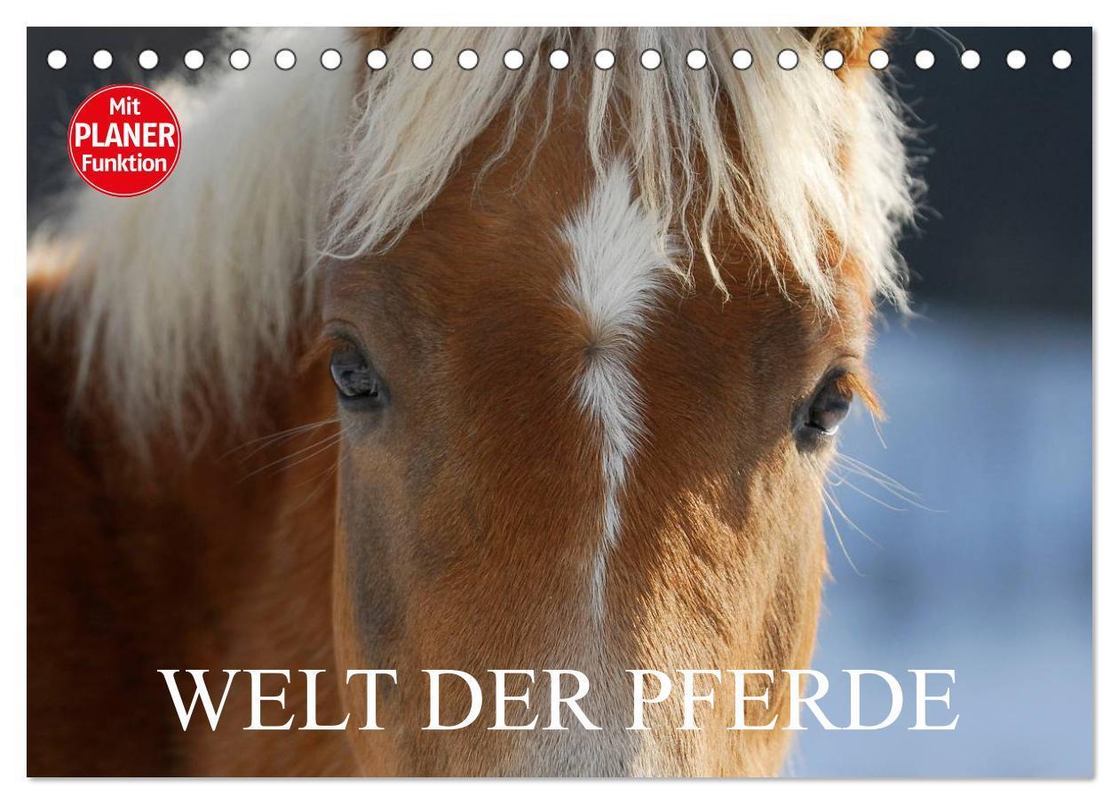 Cover: 9783435543731 | Welt der Pferde (Tischkalender 2025 DIN A5 quer), CALVENDO...