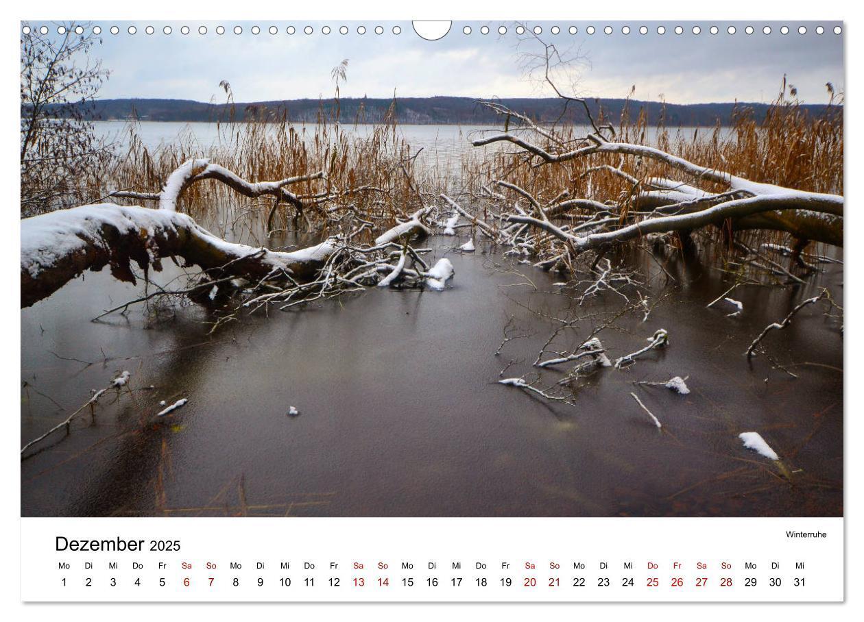 Bild: 9783435453429 | Tollense Landschaften (Wandkalender 2025 DIN A3 quer), CALVENDO...