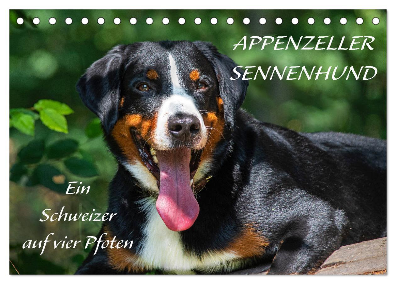 Cover: 9783435112043 | Appenzeller Sennenhund - Ein Schweizer auf 4 Pfoten (Tischkalender...