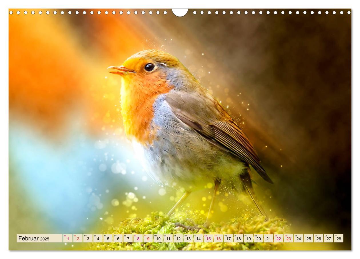 Bild: 9783435333646 | Bei uns im Garten - Rotkehlchen (Wandkalender 2025 DIN A3 quer),...