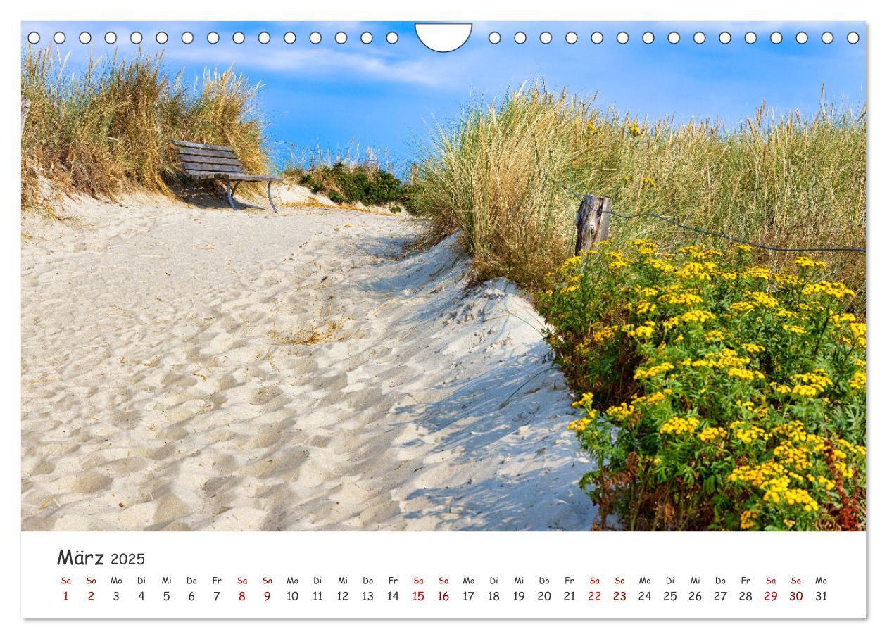 Bild: 9783435029297 | Sehnsuchtinsel Langeoog (Wandkalender 2025 DIN A4 quer), CALVENDO...