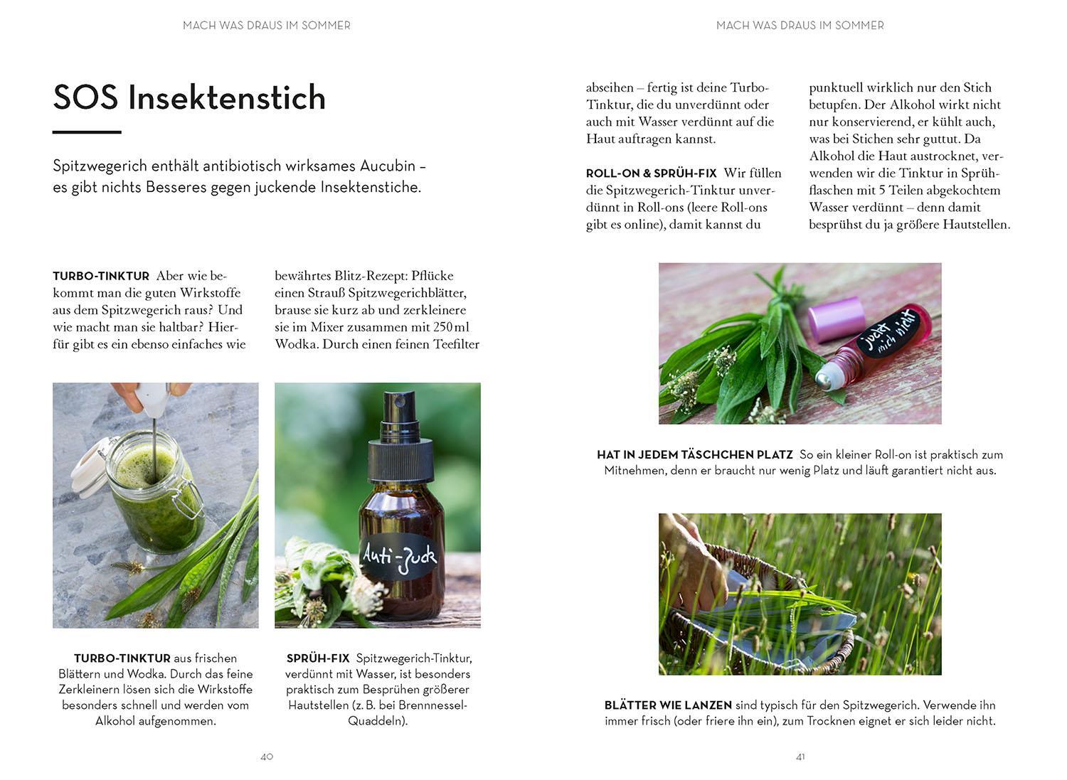 Bild: 9783440171059 | Mach was draus | Mit der Natur durch Frühjahr und Sommer | Taschenbuch