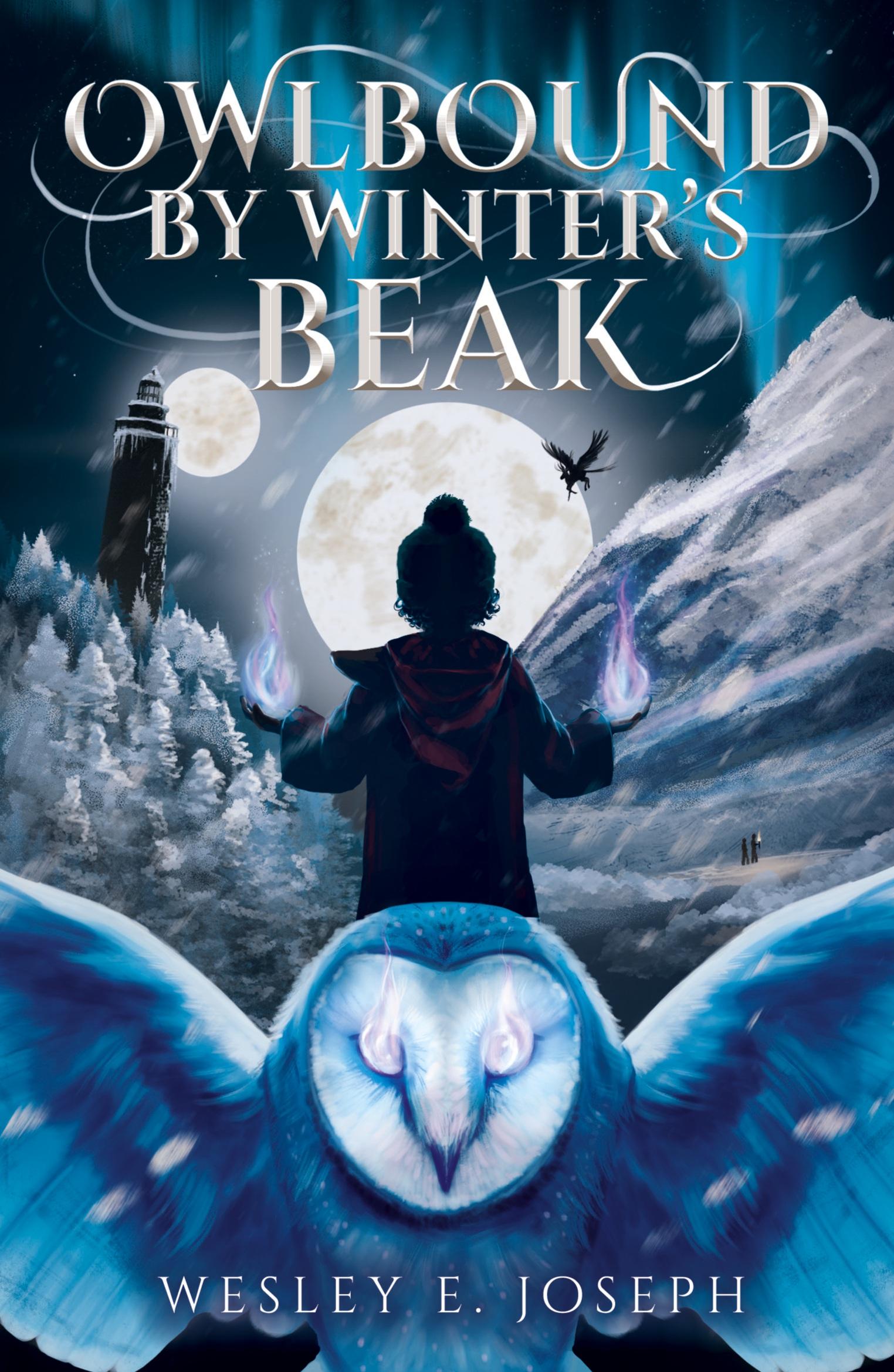 Cover: 9789464981605 | Owlbound by Winter's Beak | Wesley E. Joseph | Taschenbuch | Paperback