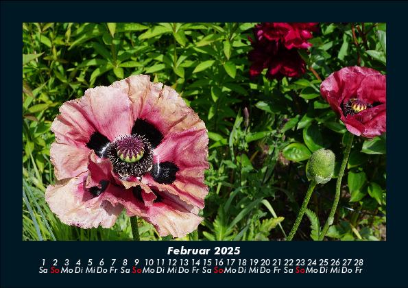 Bild: 9783755986577 | Blumenkalender 2025 Fotokalender DIN A5 | Tobias Becker | Kalender