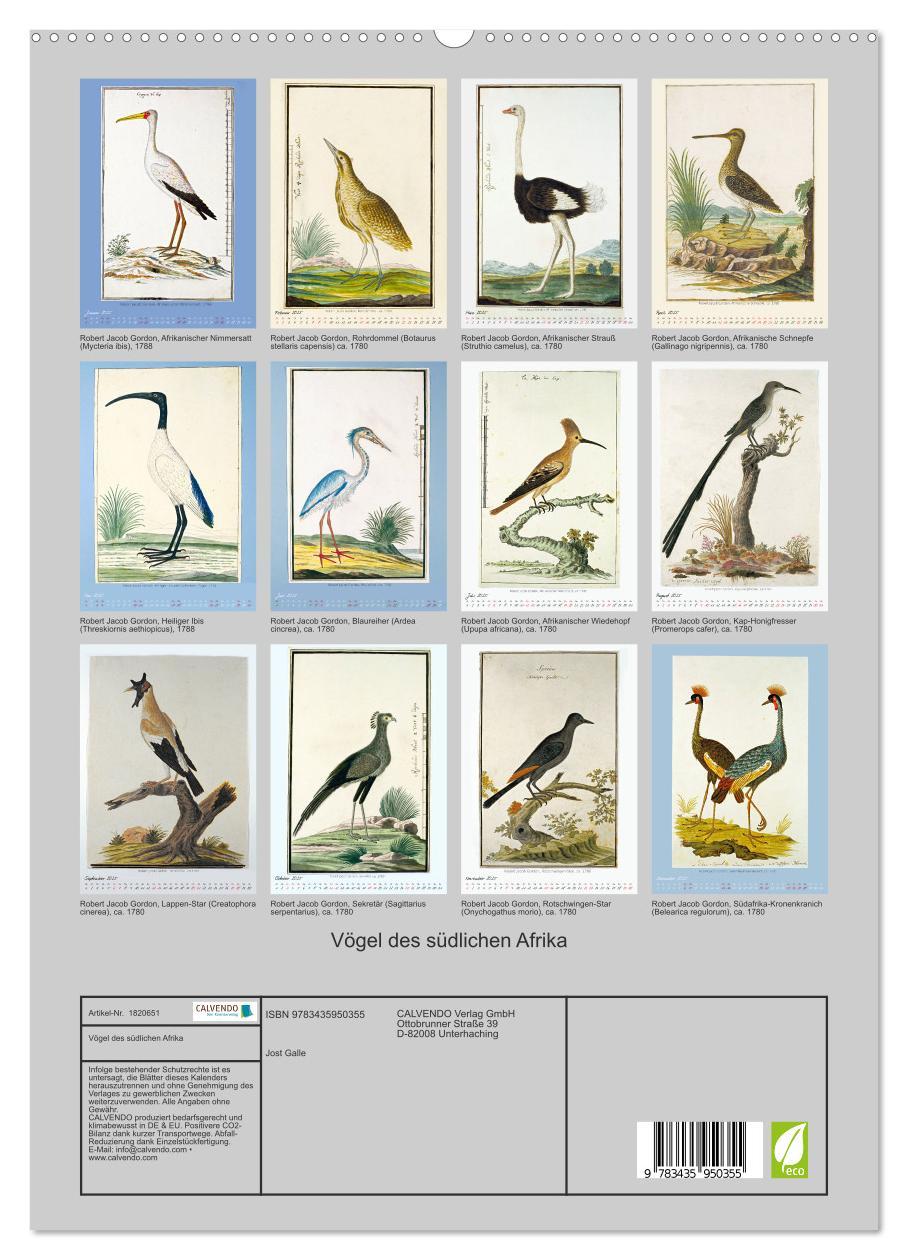 Bild: 9783435950355 | Vögel des südlichen Afrika (hochwertiger Premium Wandkalender 2025...