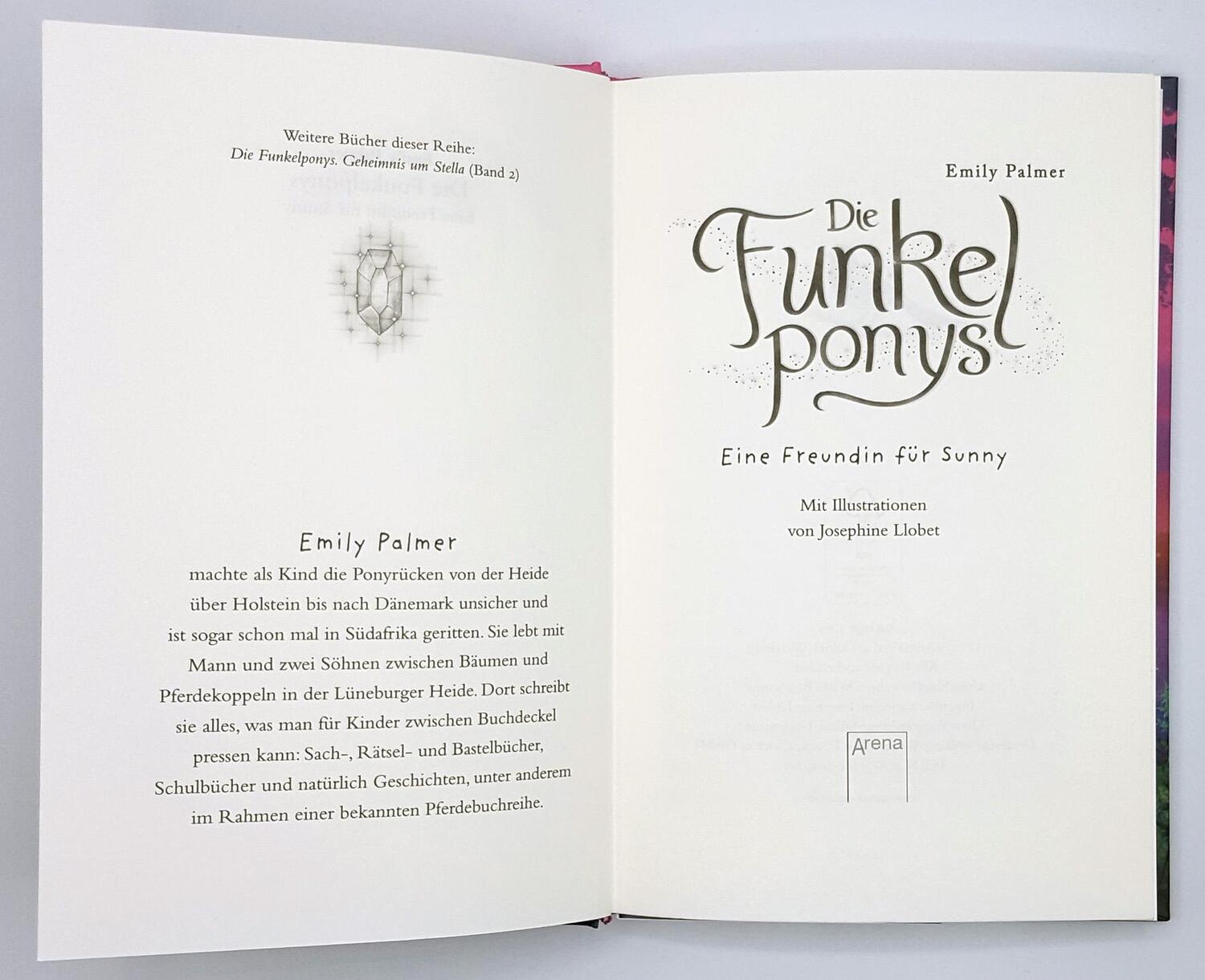 Bild: 9783401605029 | Die Funkelponys (1). Eine Freundin für Sunny | Emily Palmer | Buch