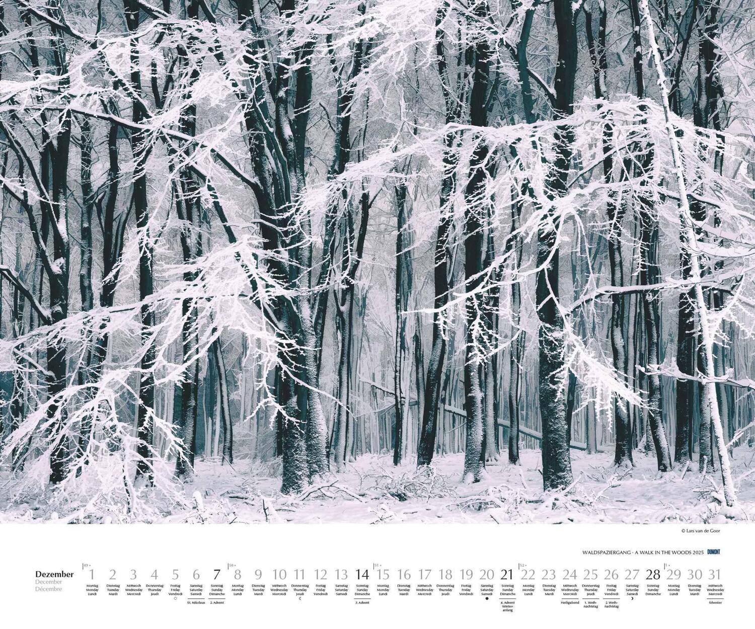 Bild: 4250809653426 | Waldspaziergang 2025 - Fotokunst-Kalender - Querformat 60 x 50 cm -...