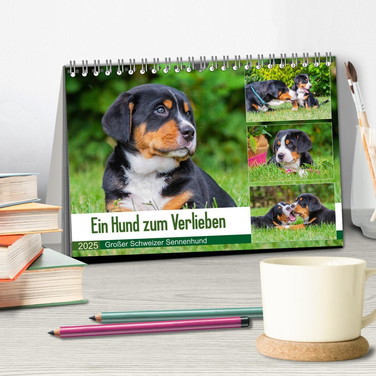 Bild: 9783435208074 | Ein Hund zum Verlieben - Großer Schweizer Sennenhund (Tischkalender...