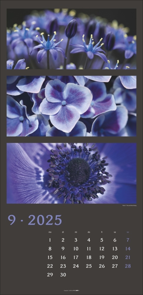 Bild: 9783839900635 | Die Farben der Natur Kalender 2025 | Horst Herzig (u. a.) | Kalender