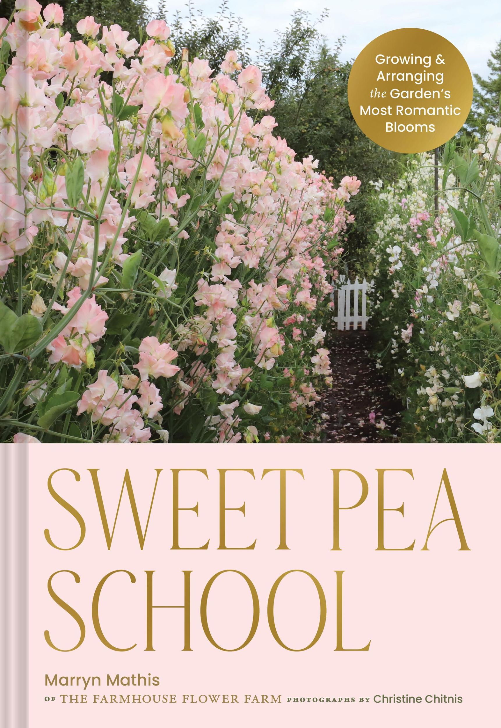 Cover: 9781797228426 | Sweet Pea School | Marryn Mathis | Buch | Englisch | 2025