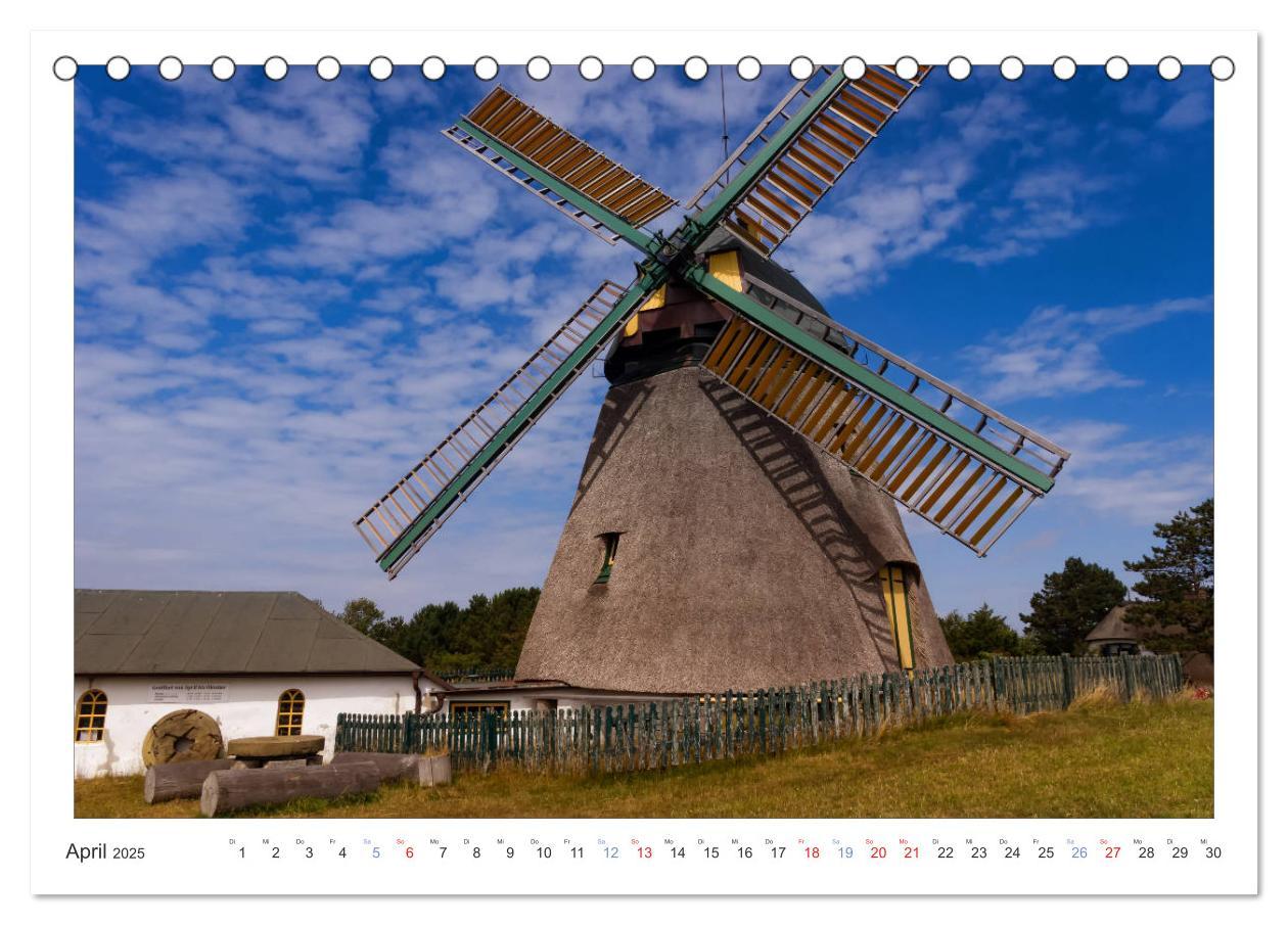 Bild: 9783435803002 | Impressionen der Nordseeinsel Amrum (Tischkalender 2025 DIN A5...