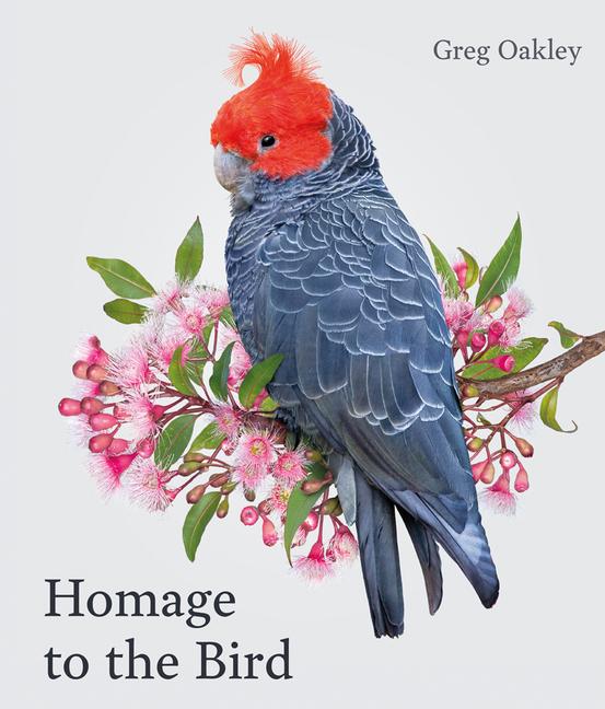 Cover: 9781864709322 | Homage to the Bird | Greg Oakley | Buch | Gebunden | Englisch | 2022