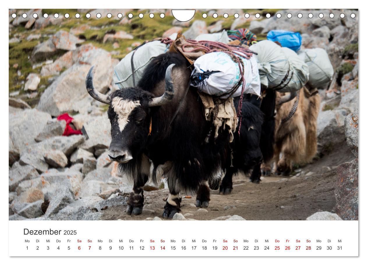 Bild: 9783435006540 | Tibet - Am Fuße des Mount Everest. (Wandkalender 2025 DIN A4 quer),...