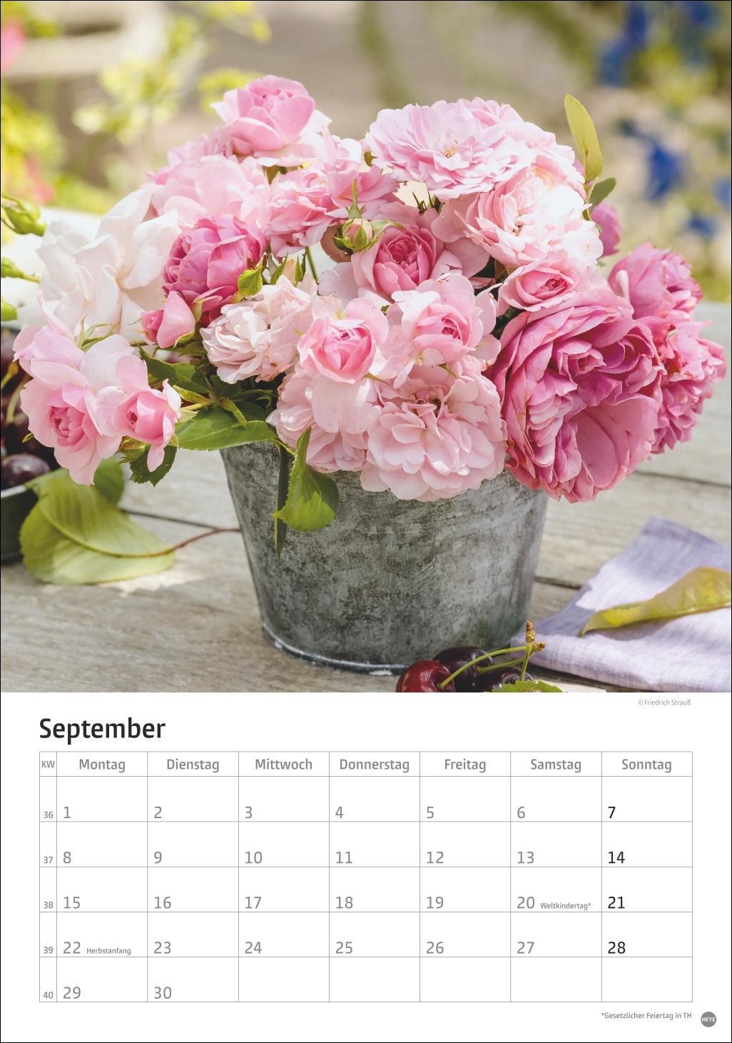 Bild: 9783756405596 | Rosenpracht Kalender 2025 | Heye | Kalender | Spiralbindung | 13 S.