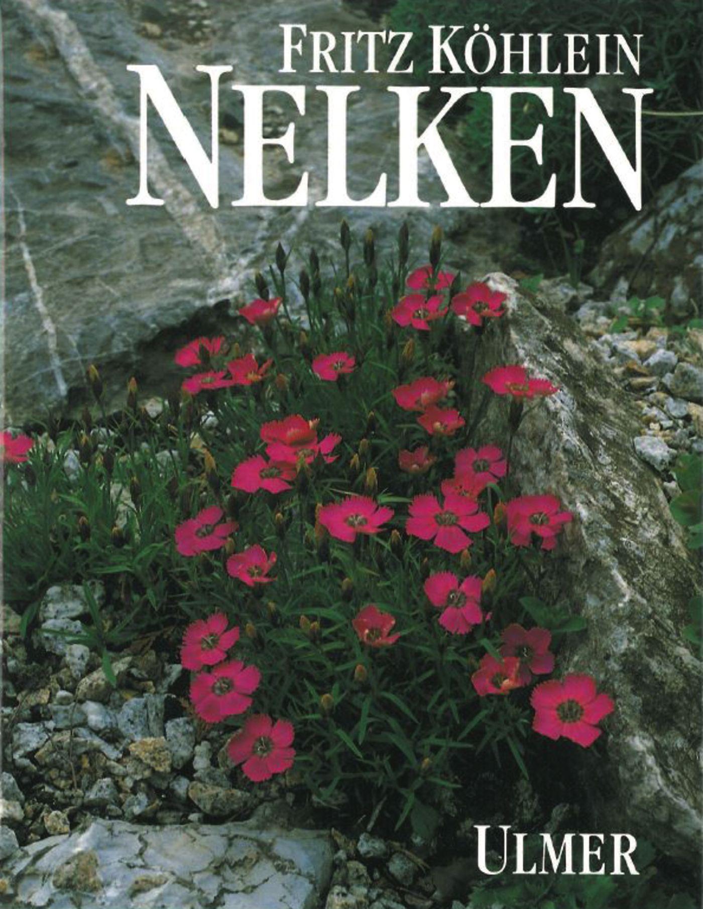 Cover: 9783800164202 | Nelken | Fritz Köhlein | Buch | 254 S. | Deutsch | 1990