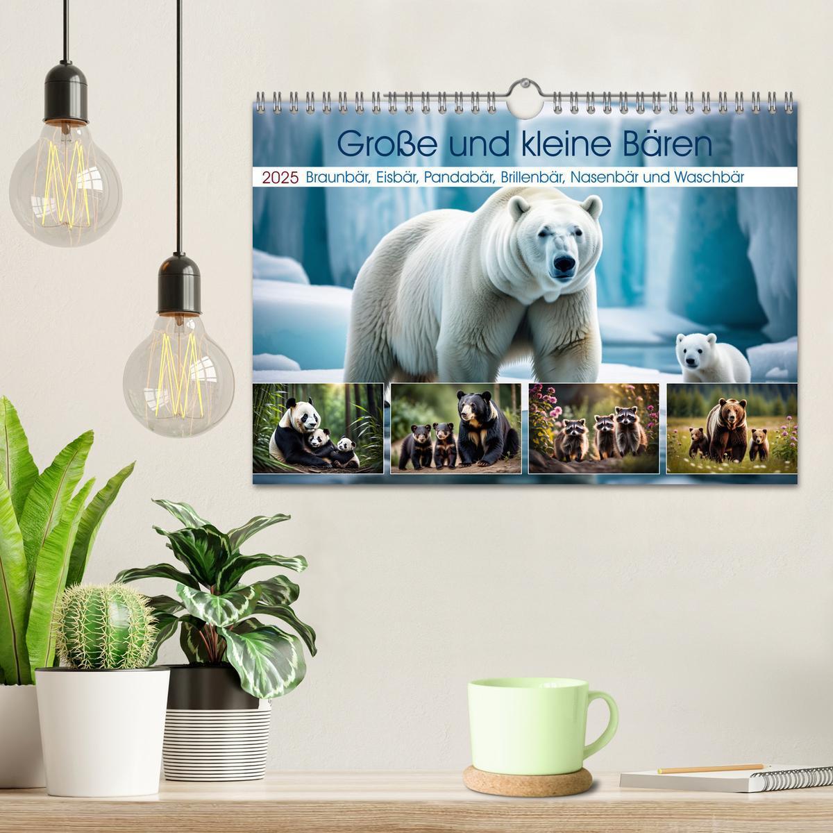 Bild: 9783457166703 | Große und kleine Bären (Wandkalender 2025 DIN A4 quer), CALVENDO...