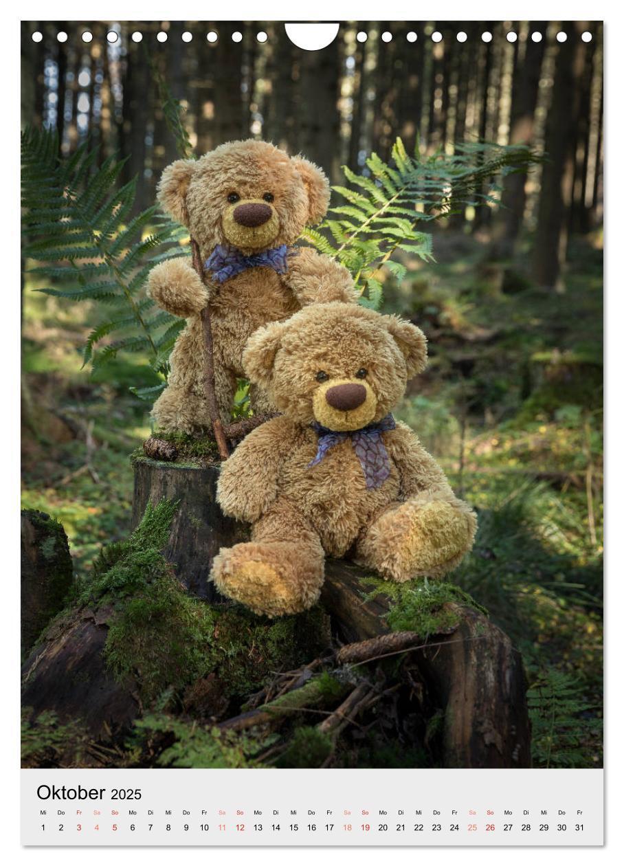 Bild: 9783435935482 | Travelling Teddy auf Welt-Tour (Wandkalender 2025 DIN A4 hoch),...