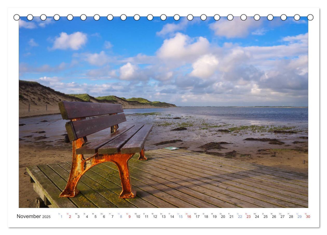 Bild: 9783435803002 | Impressionen der Nordseeinsel Amrum (Tischkalender 2025 DIN A5...