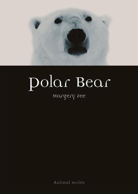 Cover: 9781789141467 | Polar Bear | Margery Fee | Taschenbuch | Kartoniert / Broschiert