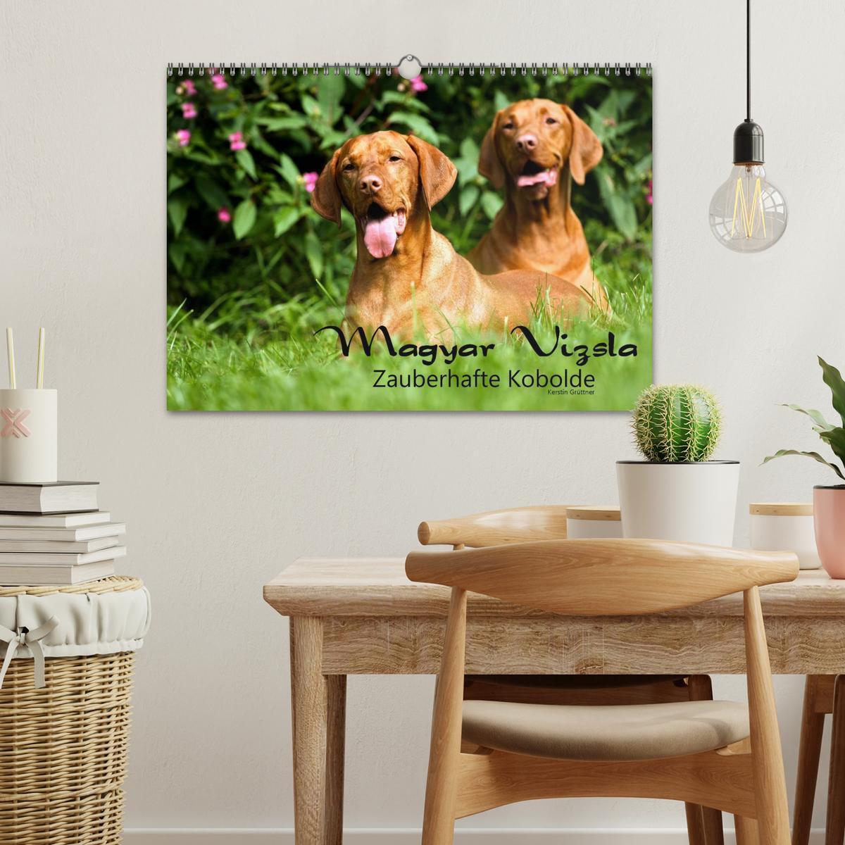 Bild: 9783435518838 | Magyar Vizsla - Zauberhafte Kobolde (Wandkalender 2025 DIN A3...