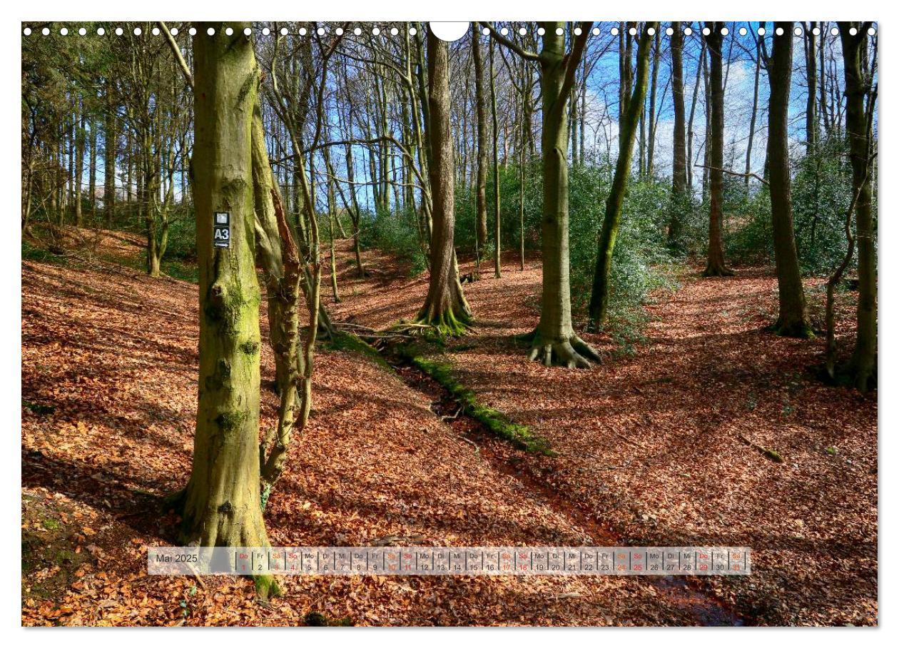 Bild: 9783435460014 | Wald im Bergischen Land 2025 (Wandkalender 2025 DIN A3 quer),...