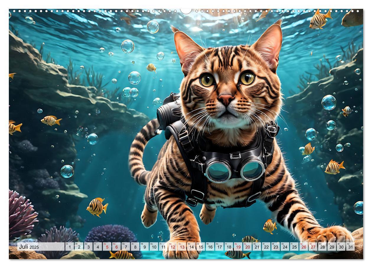 Bild: 9783383843433 | Katzen unter Wasser (Wandkalender 2025 DIN A2 quer), CALVENDO...