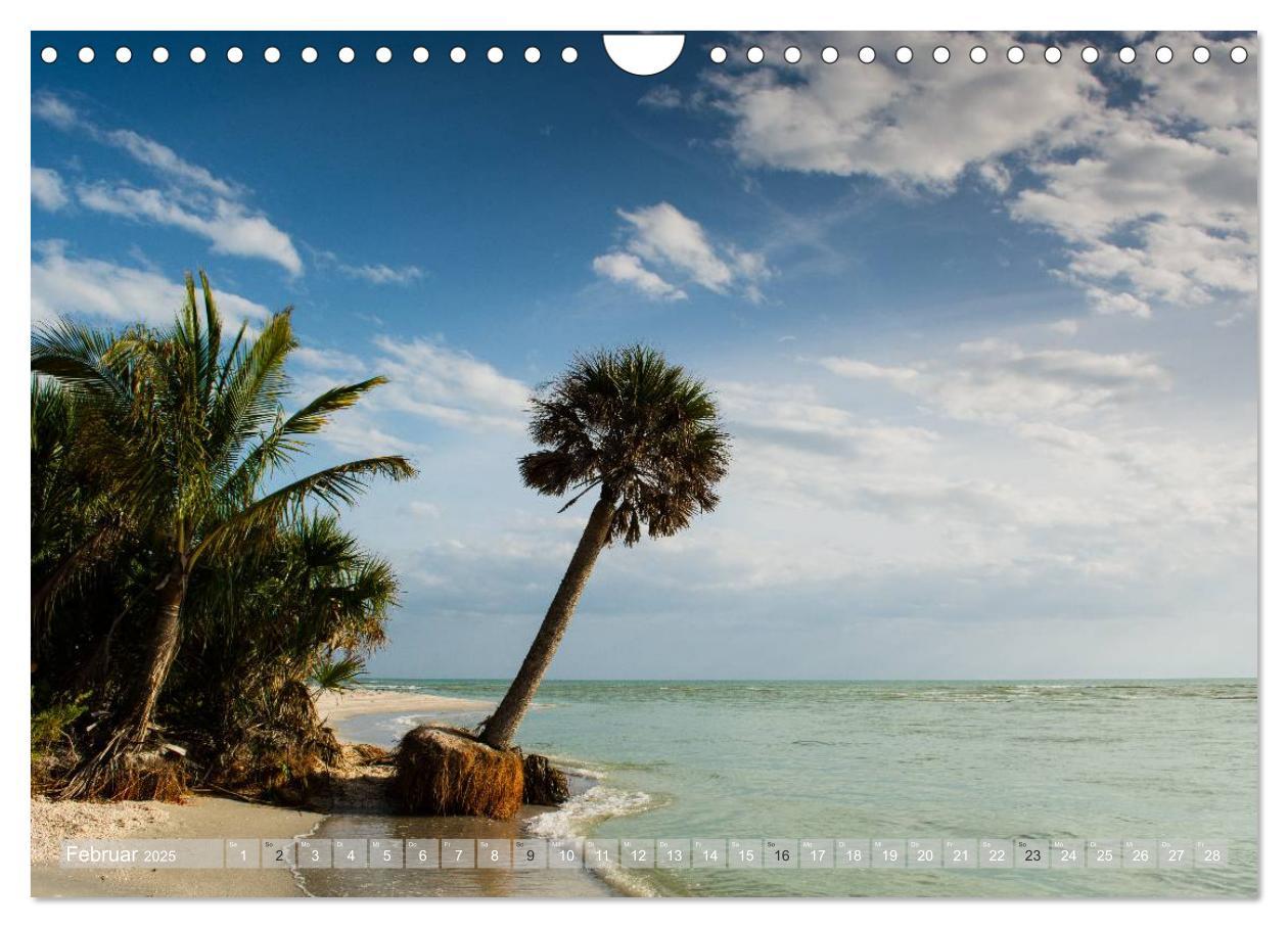 Bild: 9783435602612 | Florida. Sonne und Meer (Wandkalender 2025 DIN A4 quer), CALVENDO...