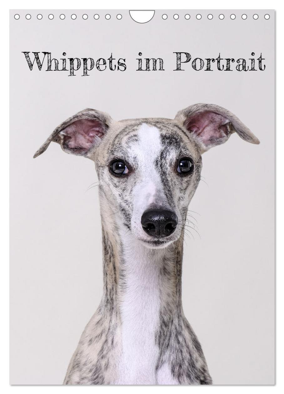 Cover: 9783435859023 | Whippets im Portrait (Wandkalender 2025 DIN A4 hoch), CALVENDO...