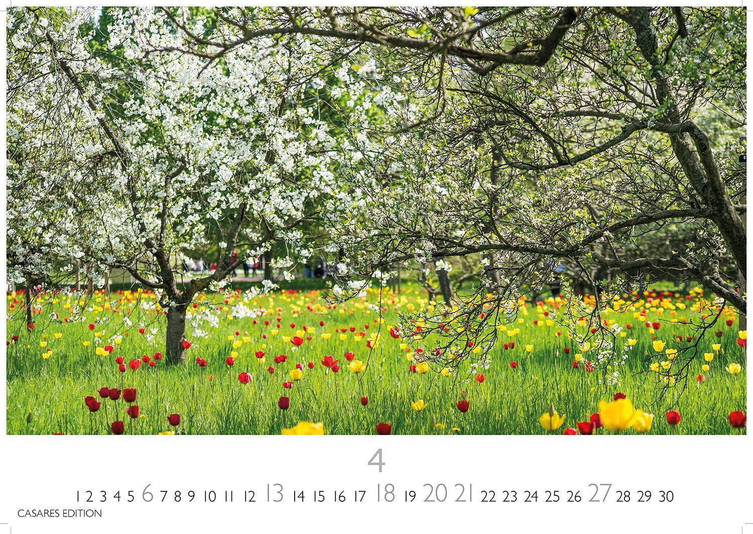 Bild: 9781835242247 | Gartenparadiese 2025 L 35x50cm | Kalender | 14 S. | Deutsch | 2025